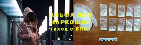индика Нея