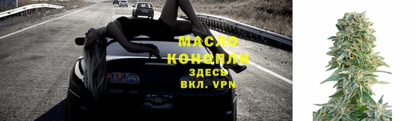 индика Нея
