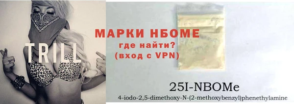 индика Нея