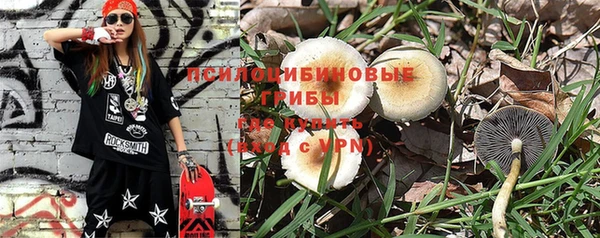 кристаллы Новозыбков
