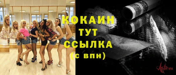 индика Нея