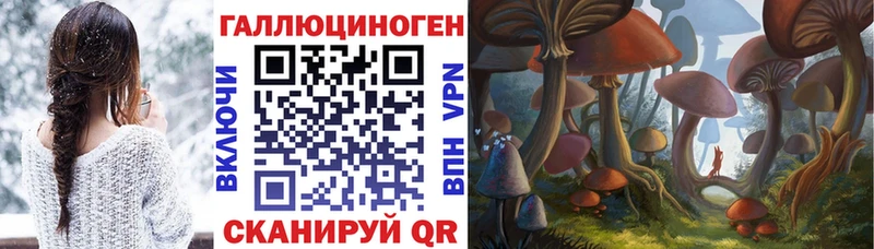 Купить закладки  Десногорск  Псилоцибиновые грибы мицелий 